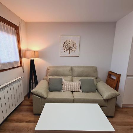 Puente Viejo Apartment Santa Cilia de Jaca Ngoại thất bức ảnh
