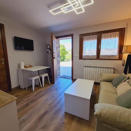Puente Viejo Apartment Santa Cilia de Jaca Ngoại thất bức ảnh